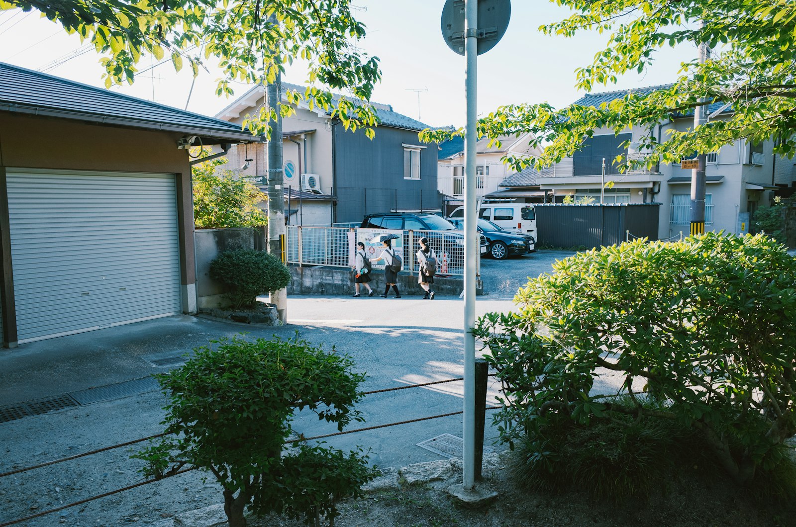 Suburban street with houses, cars, and trees